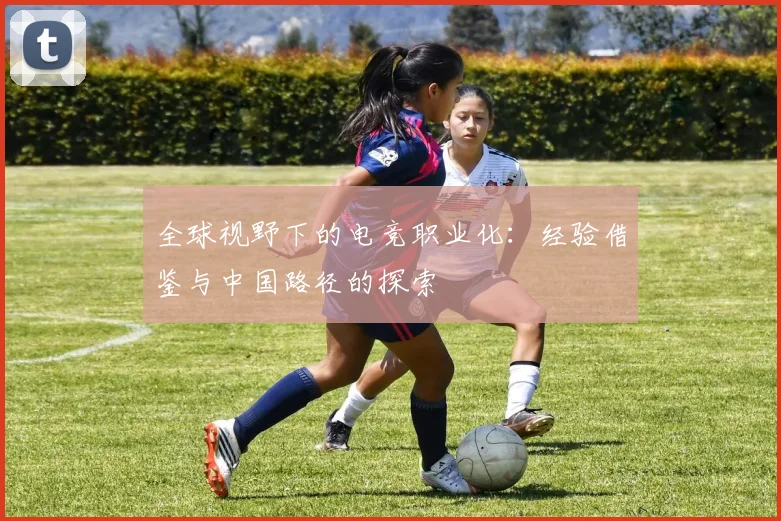 全球视野下的电竞职业化：经验借鉴与中国路径的探索