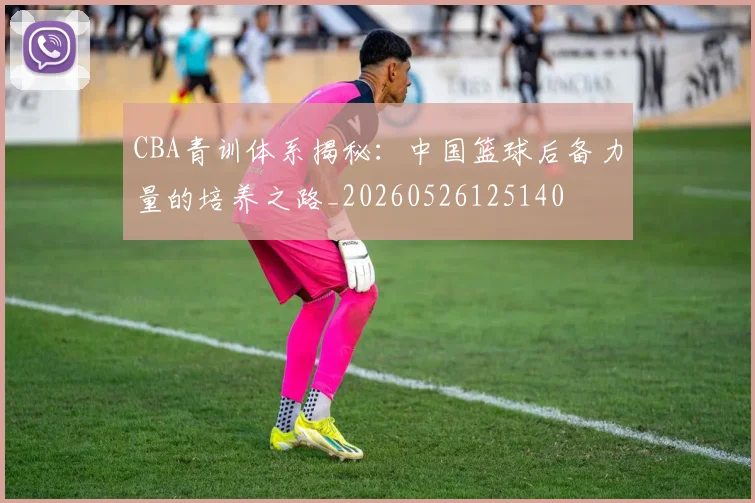 CBA青训体系揭秘：中国篮球后备力量的培养之路_20260526125140