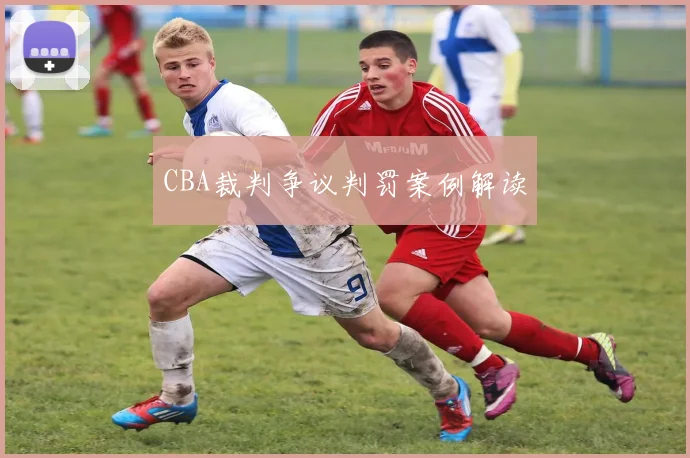 CBA裁判争议判罚案例解读