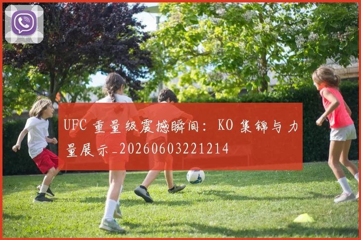 UFC 重量级震撼瞬间:KO 集锦与力量展示_20260603221214
