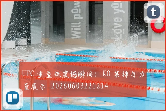 UFC 重量级震撼瞬间：KO 集锦与力量展示_20260603221214