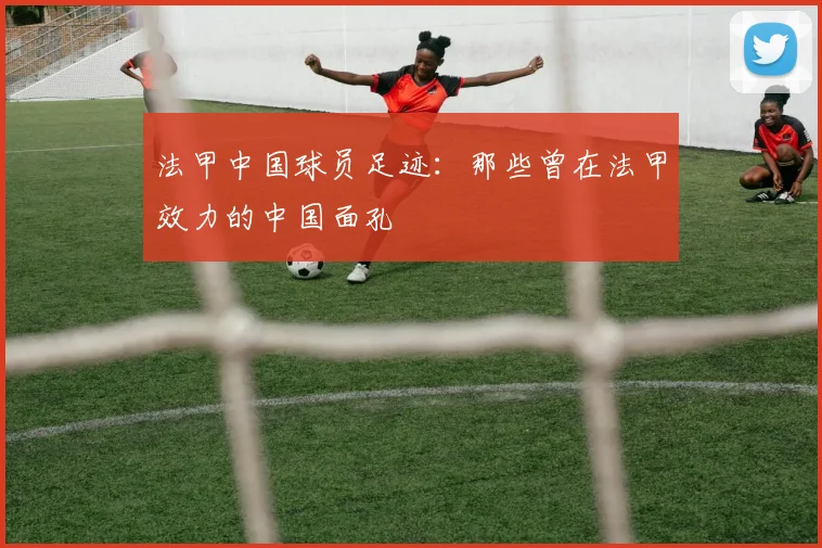 法甲中国球员足迹：那些曾在法甲效力的中国面孔
